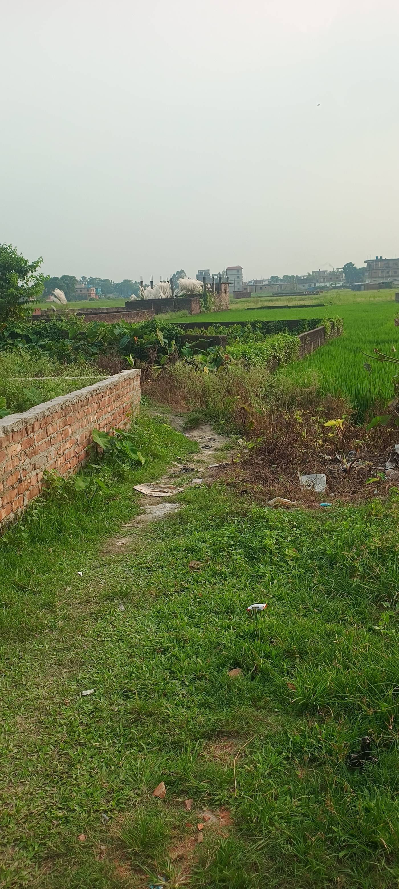 1.50 kattha Residential plot for sale in V2 Mall, Kishanganj, Bihar - Image 2
