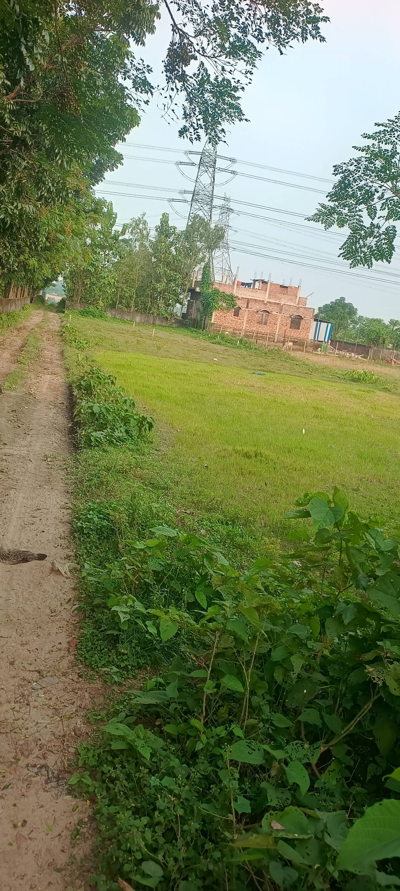 10.00 kattha Residential plot for sale in Carmel Mission School