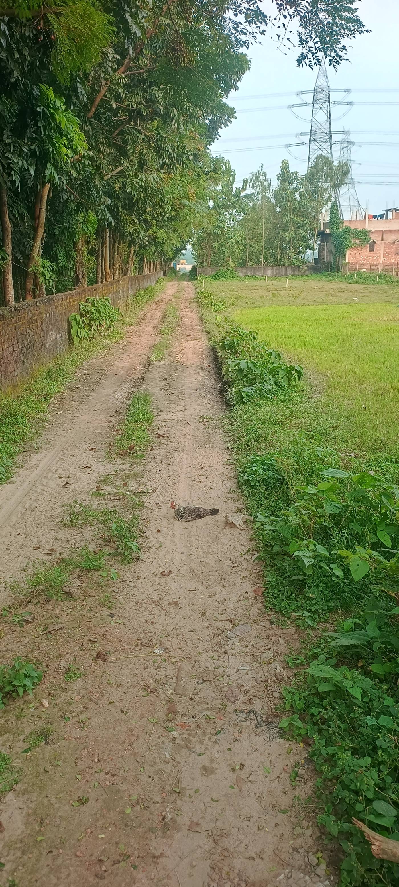 10.00 kattha Residential plot for sale in Carmel Mission School, Kishanganj, Bihar - Image 2