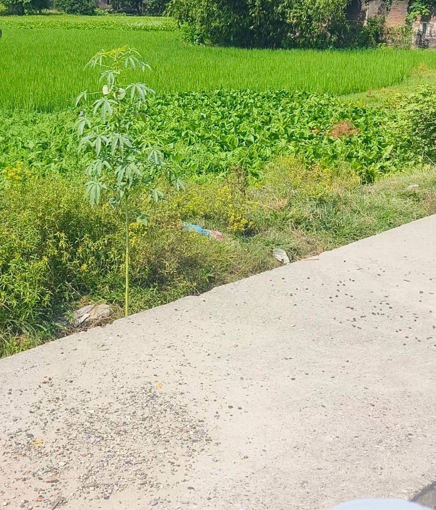 6.00 kattha Commercial plot for sale in Vivo showroom