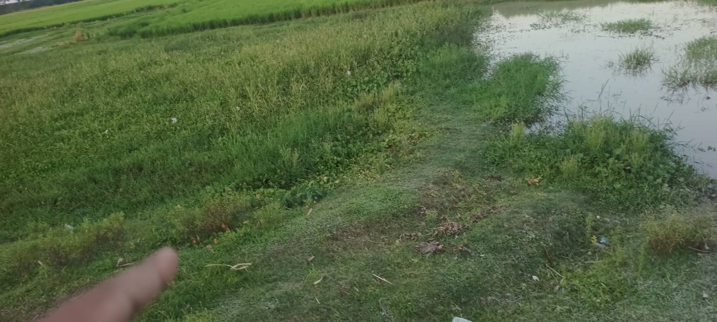 4.50 kattha Residential plot for sale in Simalbari