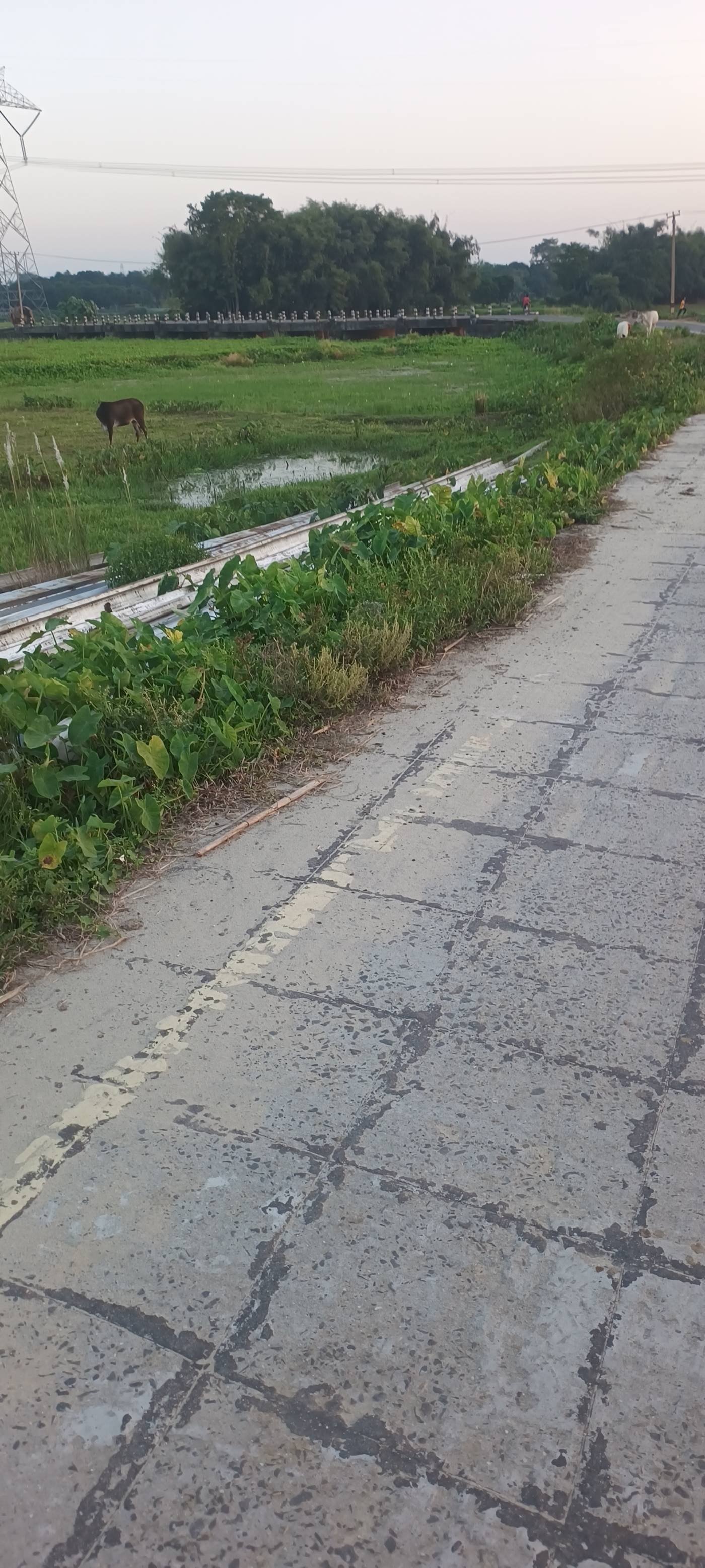 4.50 kattha Residential plot for sale in Simalbari, Kishanganj, Bihar - Image 3