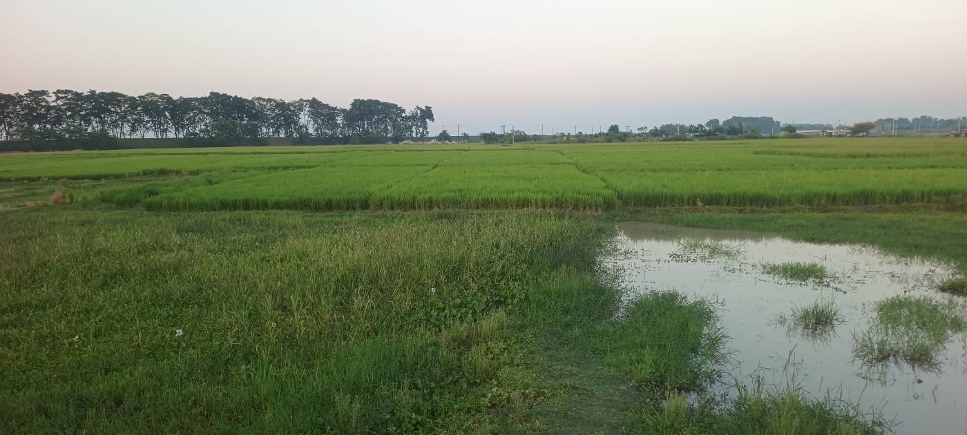 19.00 kattha Residential plot for sale in Simalbari