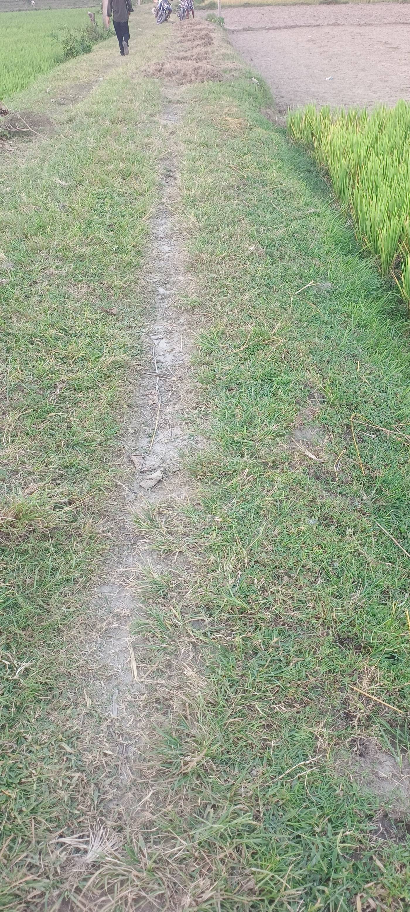19.00 kattha Residential plot for sale in Simalbari, Kishanganj, Bihar - Image 3