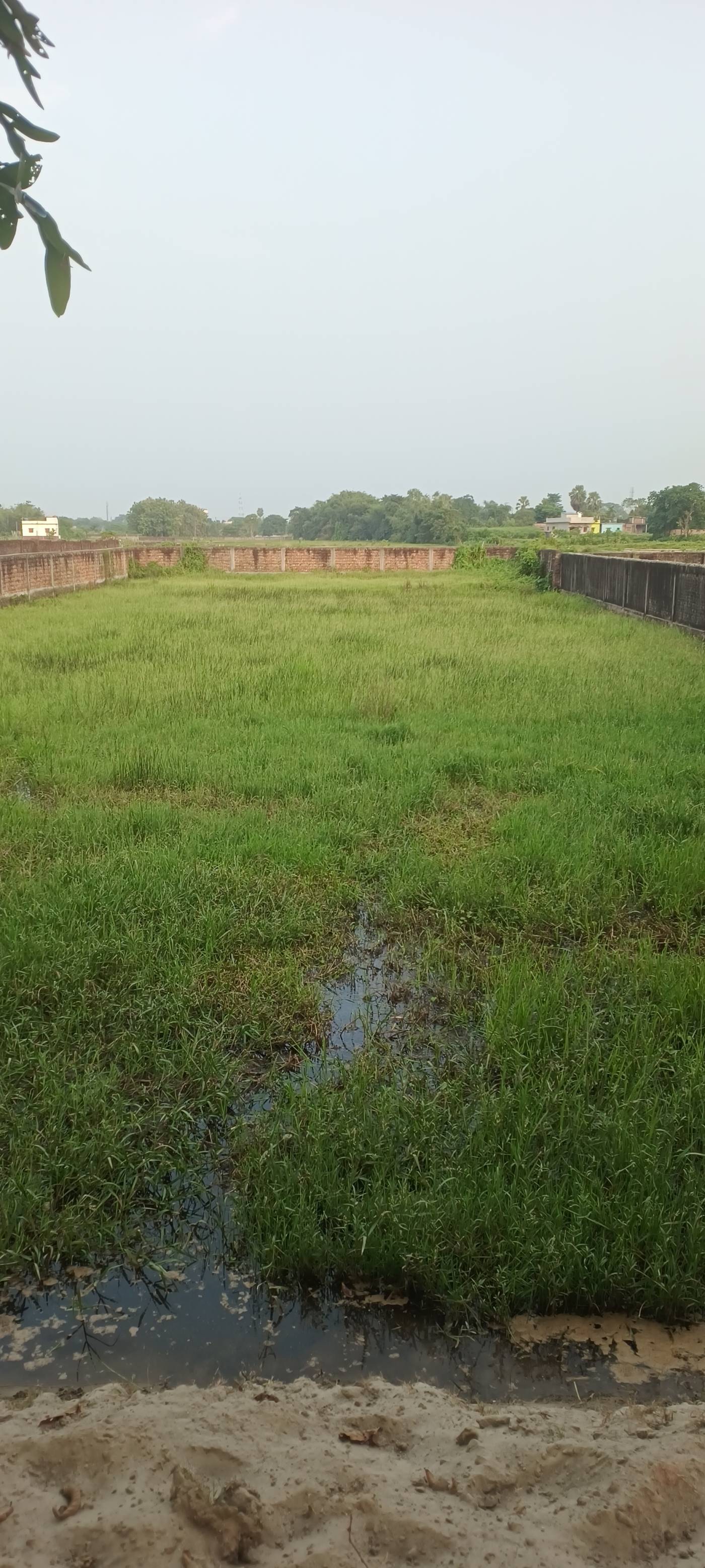 19.00 kattha Commercial plot for sale in Lahra Chowk