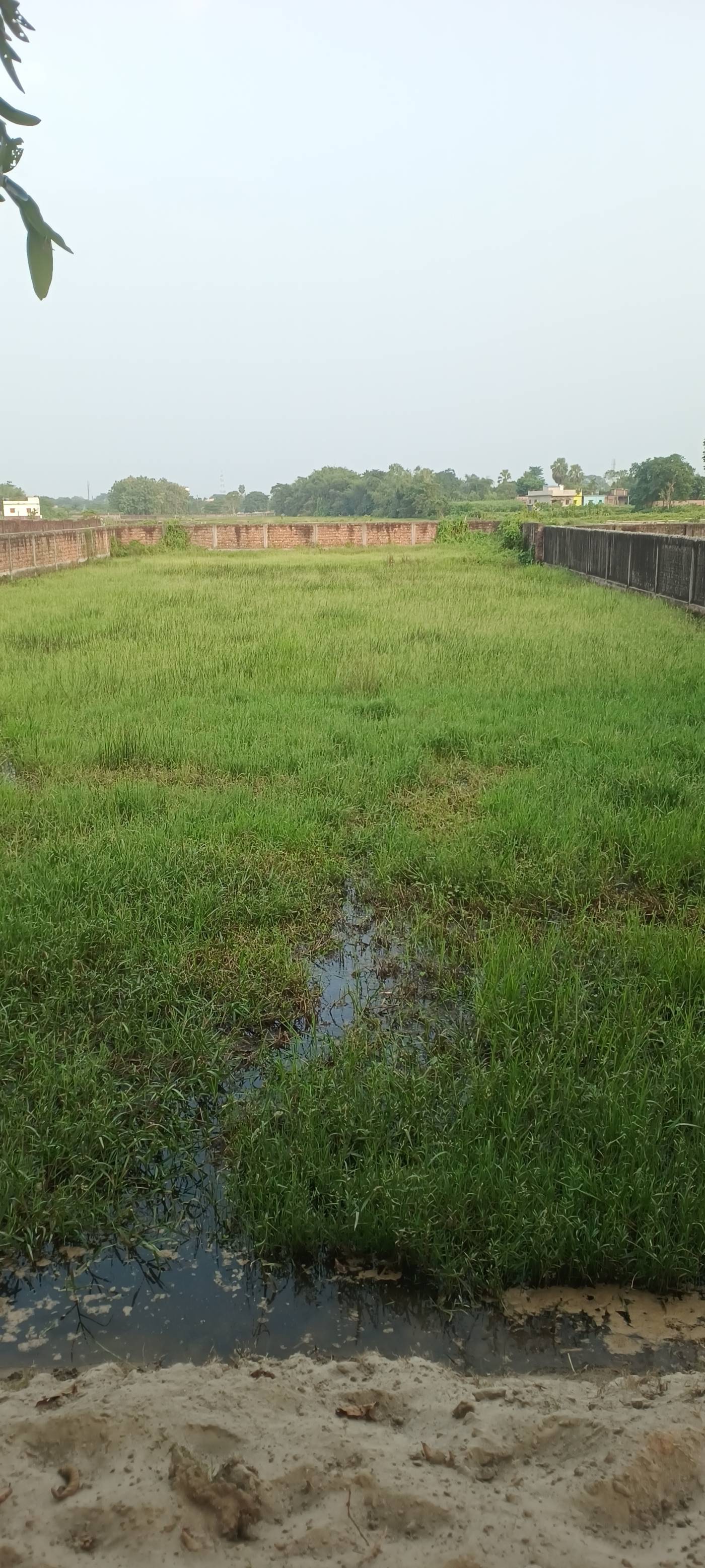19.00 kattha Commercial plot for sale in Lahra Chowk, Kishanganj, Bihar - Image 3