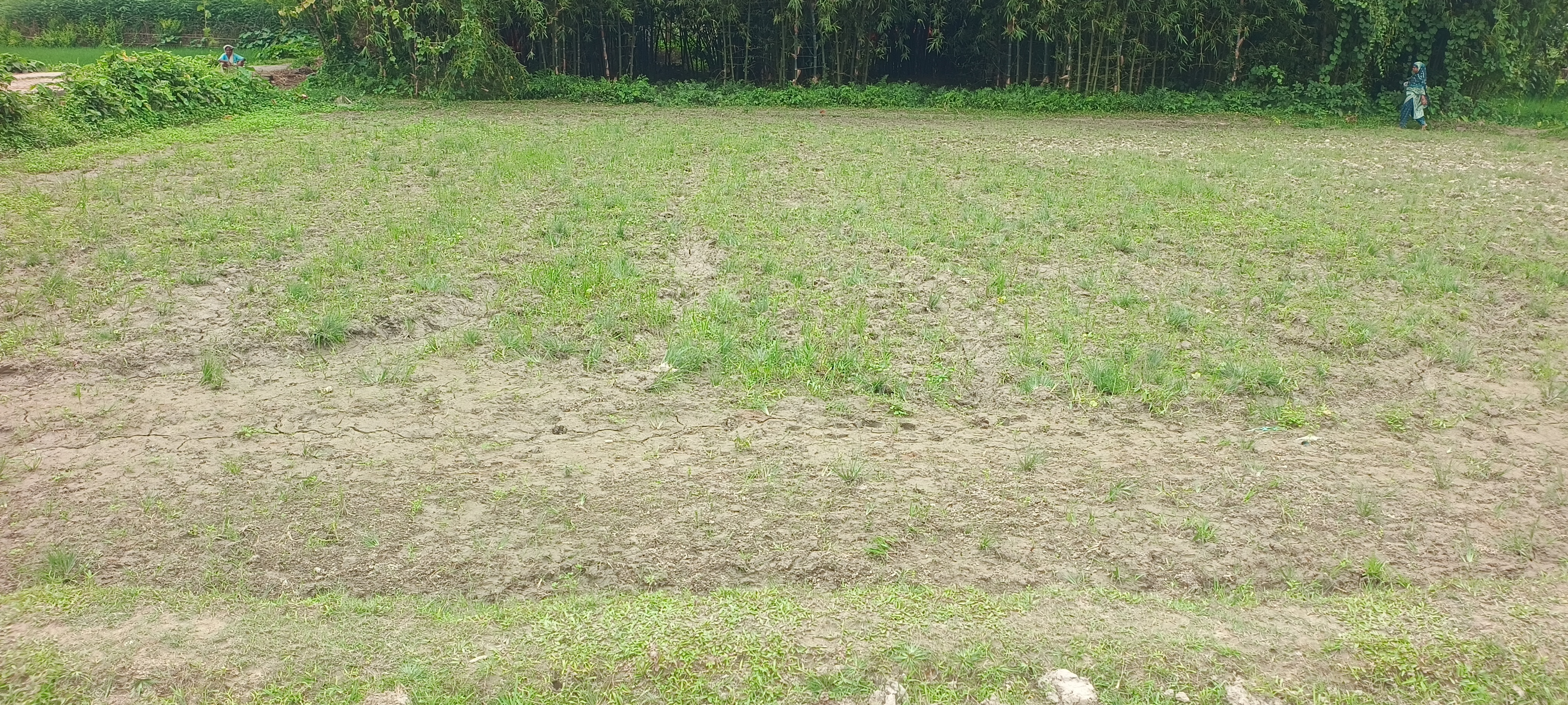 Plot Image